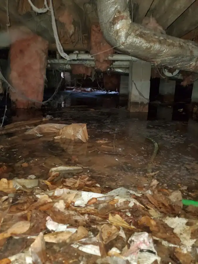 Crawl space flood assessment for Leak Detection & Repair in St. Paul